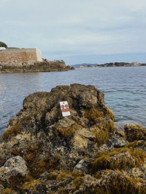 photo dézoomer - centrée sur mes créations - boucles d'oreilles mi-longues marrons - cercles & demi-cercle - sur un rocher au bord de la mer