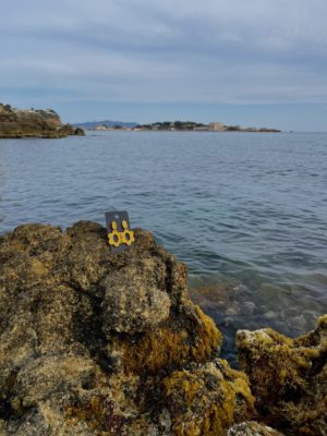 photo dézoomer - centrée sur mes créations - boucles d'oreilles pendantes jaune moutarde fleur creusée - mi-longues - fleur - jaune moutarde - sur un rocher au bord de la mer